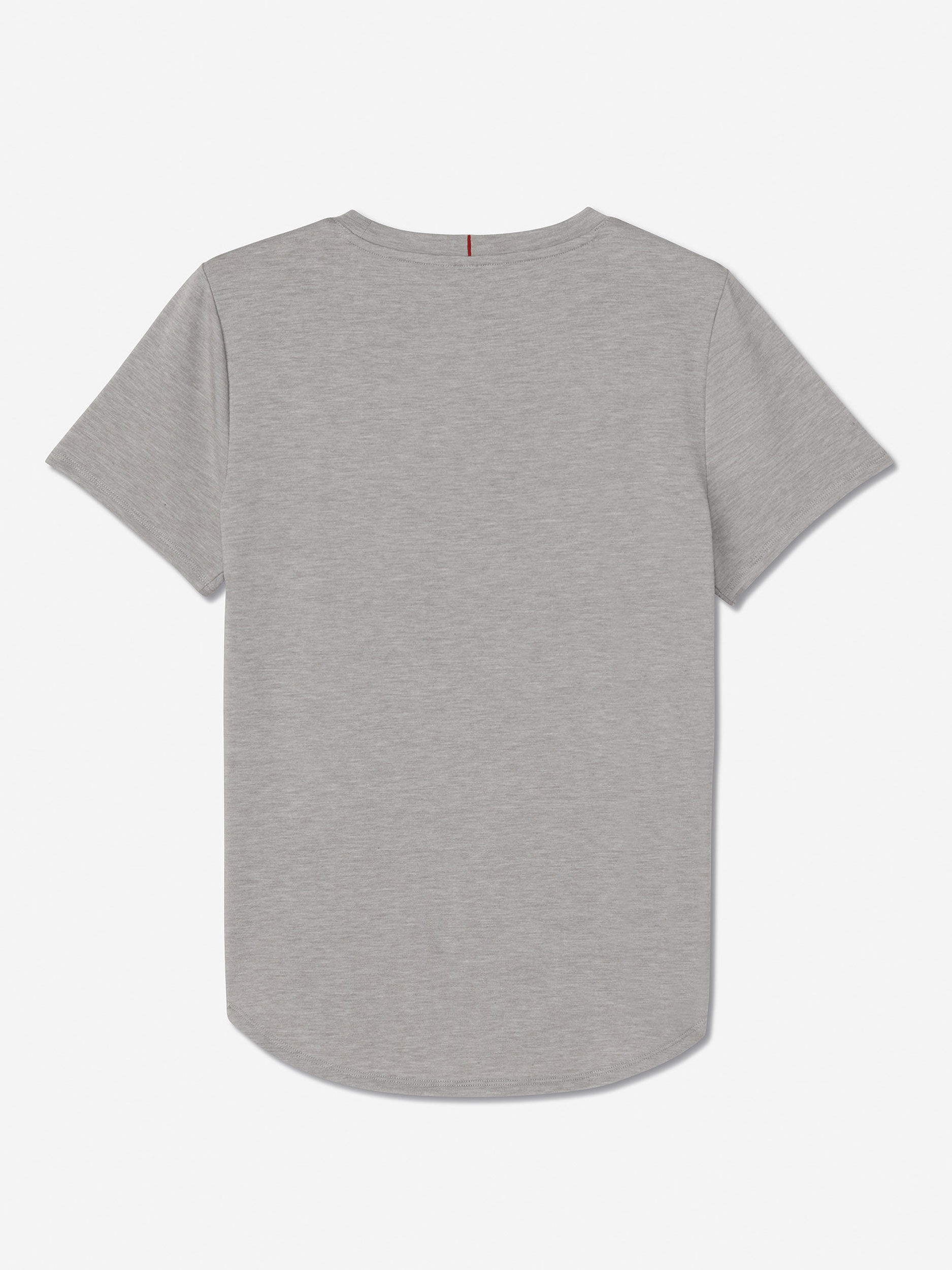 Sun Day Red Performance Mini Icon T-Shirt Gray | 3905-ENJLS